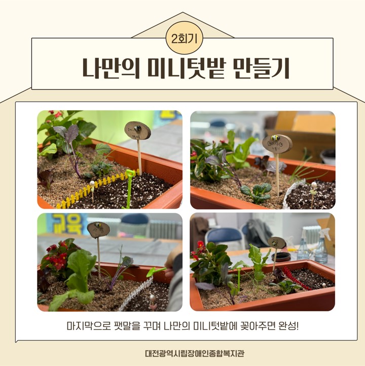 1인가구 정서지원사업 1인가구 정서지원사업